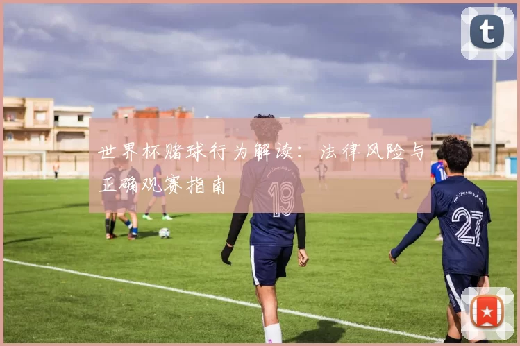 世界杯赌球行为解读:法律风险与正确观赛指南