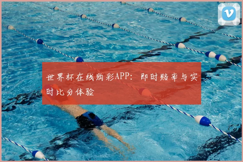世界杯在线购彩APP:即时赔率与实时比分体验