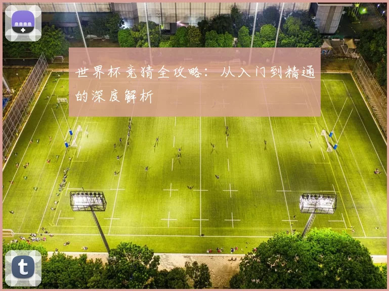 世界杯竞猜全攻略：从入门到精通的深度解析