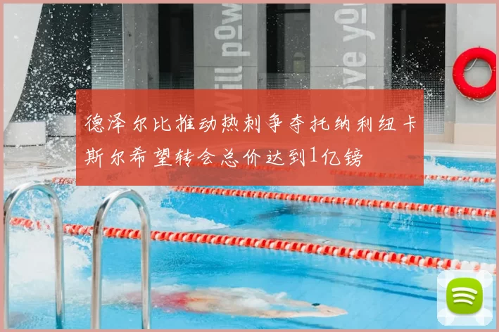 德泽尔比推动热刺争夺托纳利纽卡斯尔希望转会总价达到1亿镑