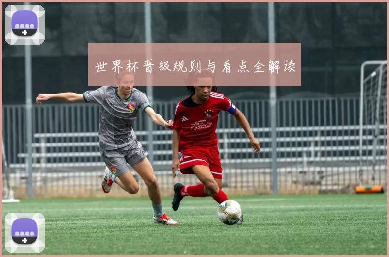 世界杯晋级规则与看点全解读