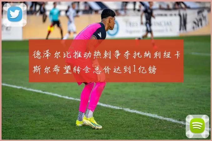 德泽尔比推动热刺争夺托纳利纽卡斯尔希望转会总价达到1亿镑