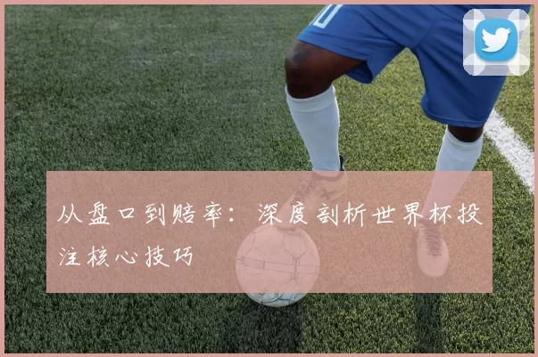 从盘口到赔率:深度剖析世界杯投注核心技巧