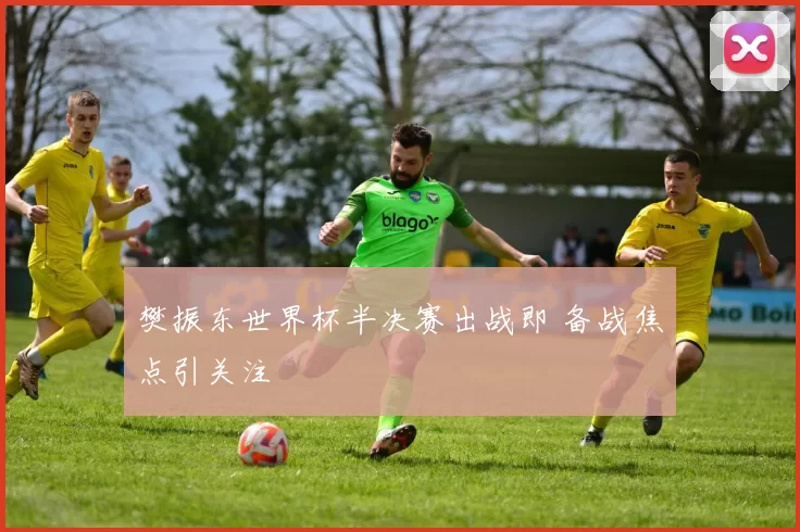 樊振东世界杯半决赛出战即 备战焦点引关注